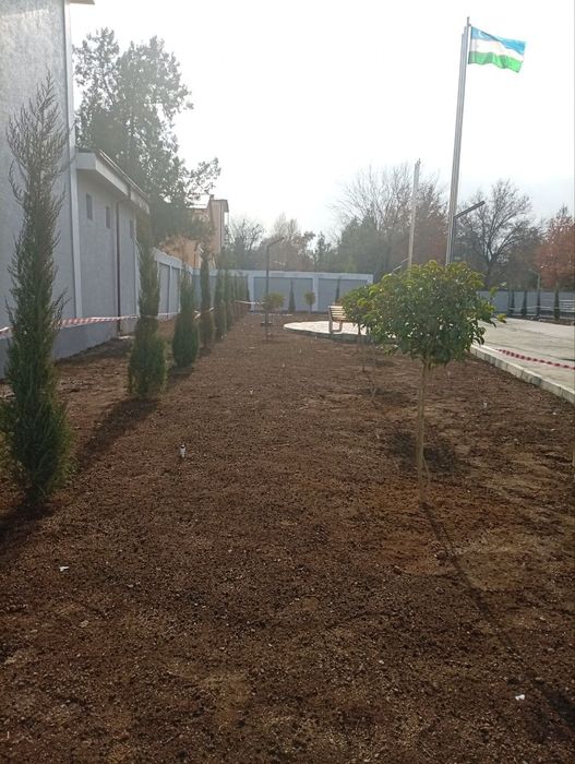 Gazon ruloni landshaft dizayni xizmatlari