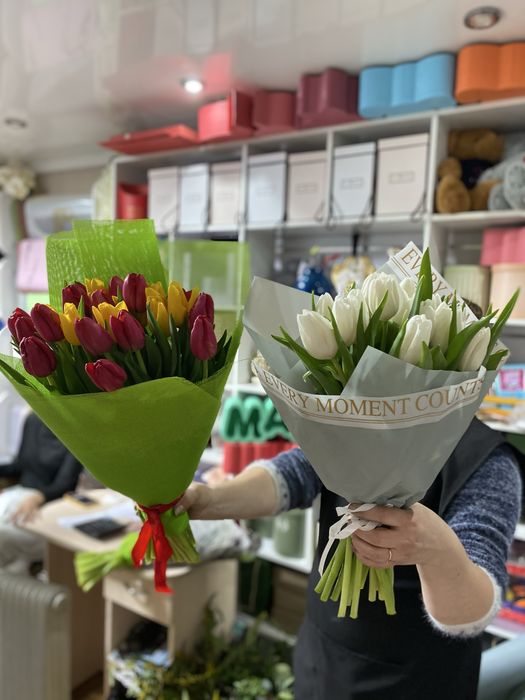 ТЮЛЬПАН оптом местный