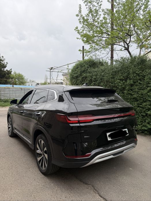 Srochno narxda Byd Champion gibrid