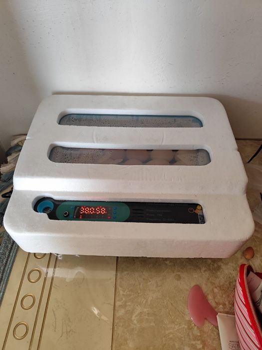 Инкубатор инкубатор