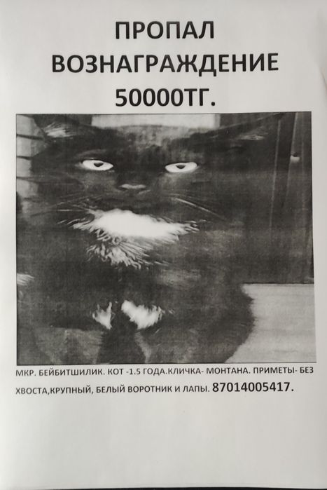 50000тг.Вознаграждение