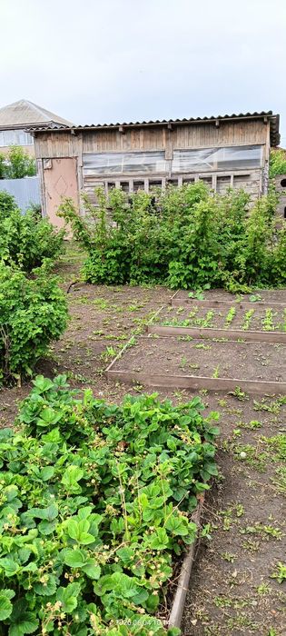 Продам дом в Солнечном