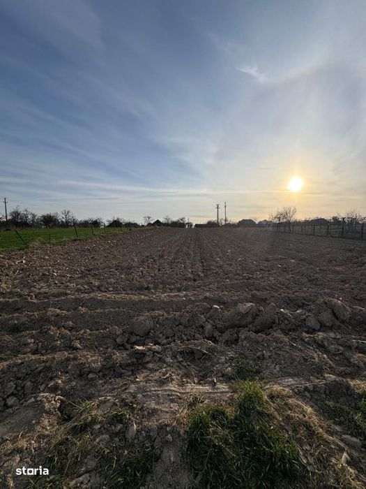 Casa Asuaju de Sus, 47 ari teren, investitie, necesita renovare