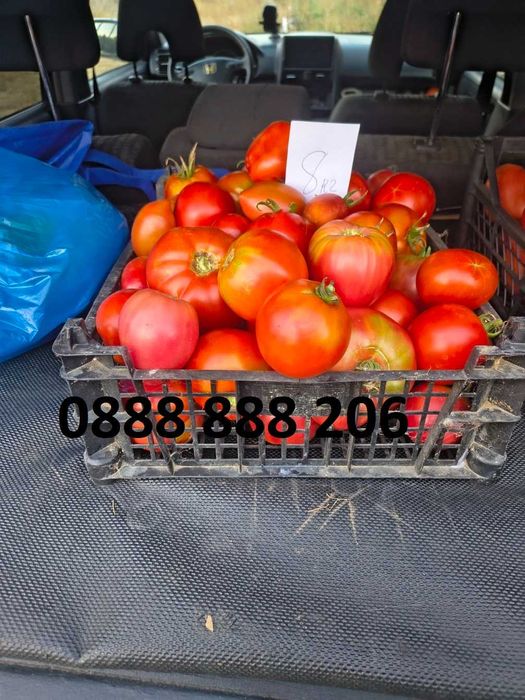 Продавам вкусни домати.