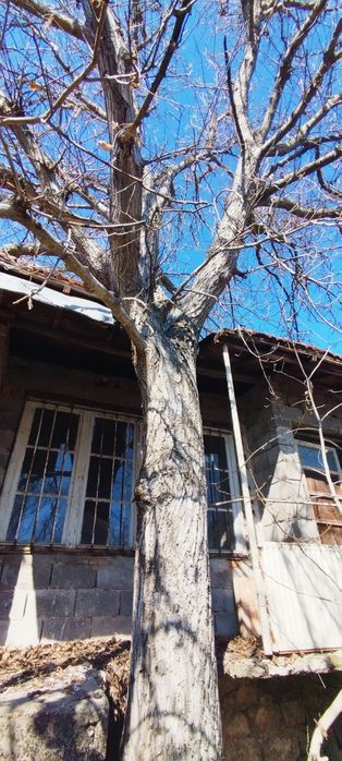 Продава се Къща в с. Ковачевци, Област Перник - 120 кв.м за 280 €/кв.м - Снимка #8