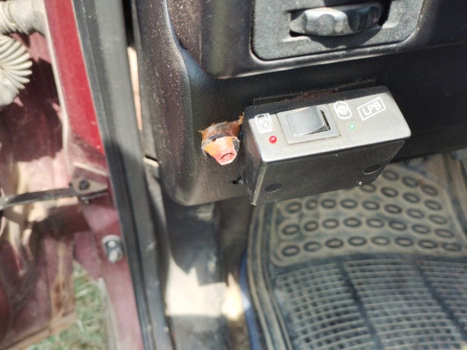 Имам всичко налично пали и върви