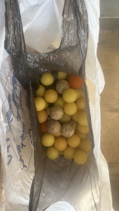 Професионална джага