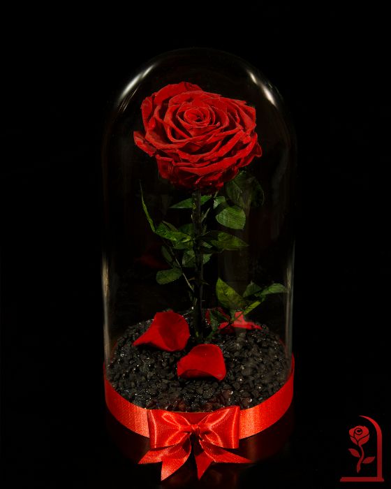 Истинска Вечна Роза в ГОЛЯМА Стъкленица / Подарък за Коледа за Жена