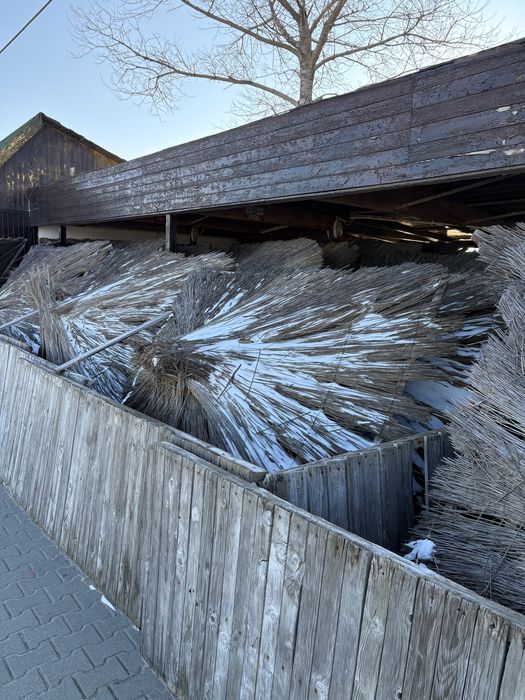 Sezlonguri si umbrele