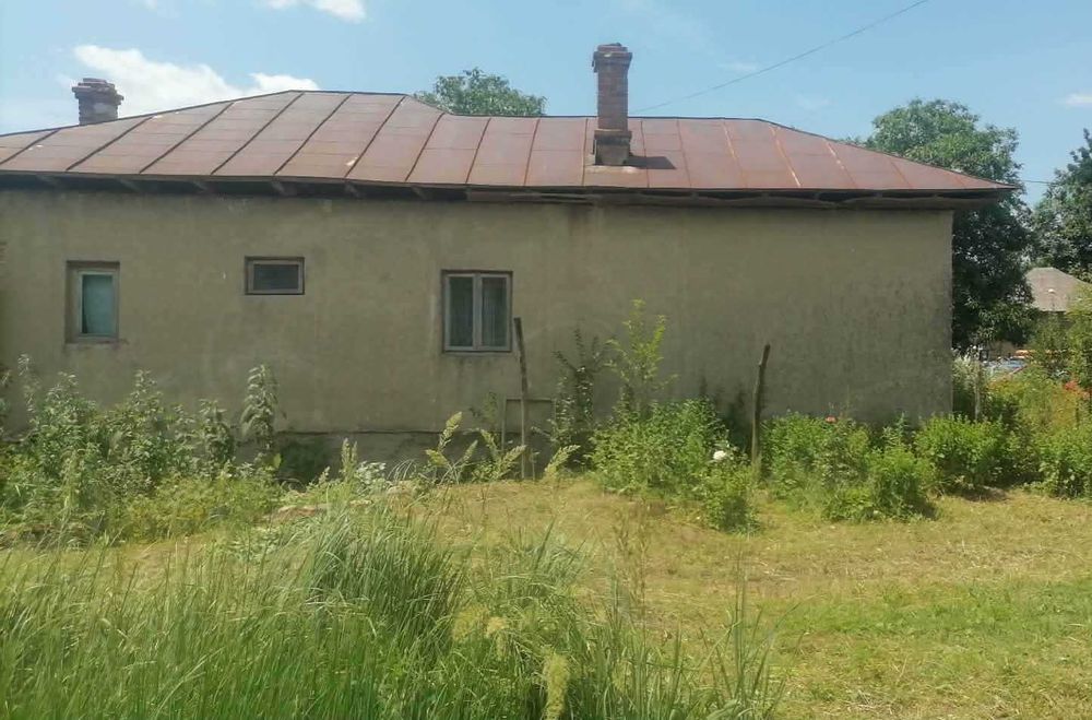 Casă + Teren 2700 mp Intravilan | Cocorăștii Colț (Satul de Sus)