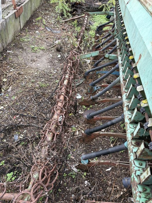 Semanatoare sup29 piatra neamt