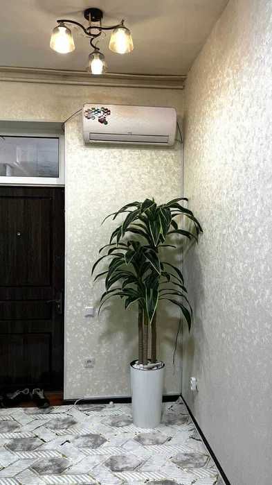 Аренда Квартиры ор. Военный госпиталь