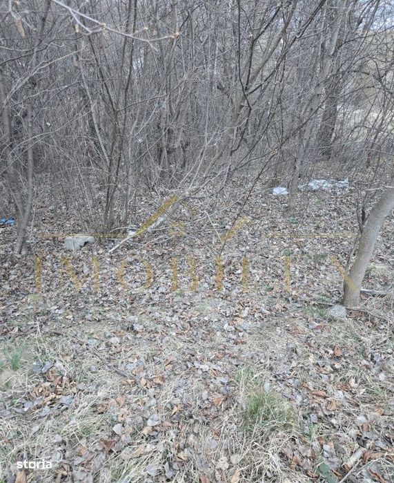 Teren in zona partiei de schi Feleacu