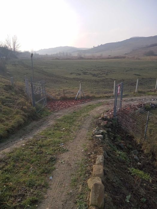 Teren de vînzare in Nicula