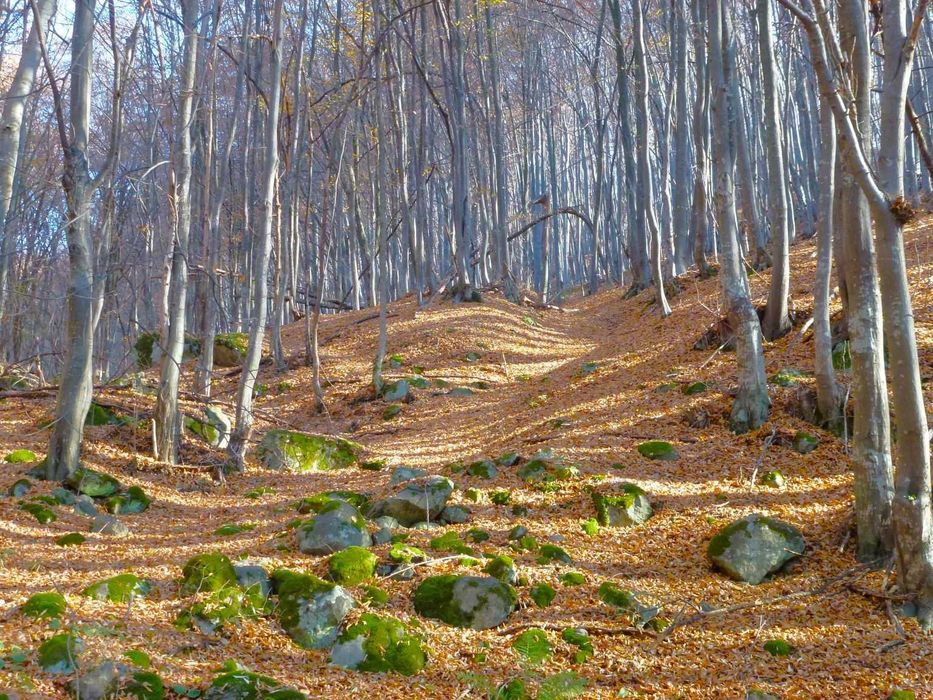 Новострояща се къща в село Боснек, Обл. Перник