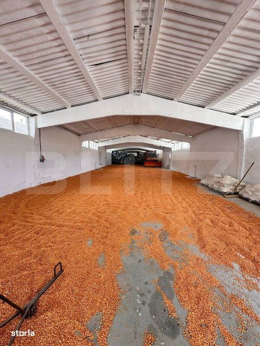 Hala de inchiriat  350 m2 , Caseiu