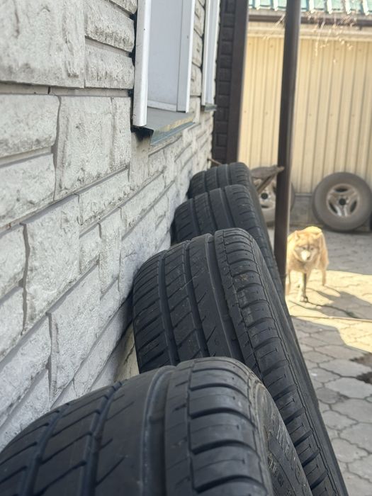 Резина 215х60х16