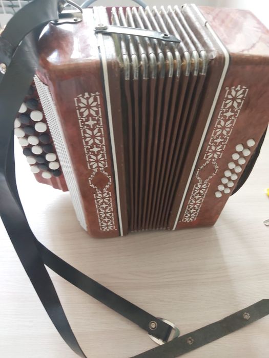 Баян небольшой (детский)