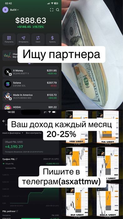 Инвест партнер керек 20% доход