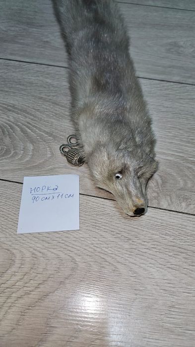 Шкурка норка новая