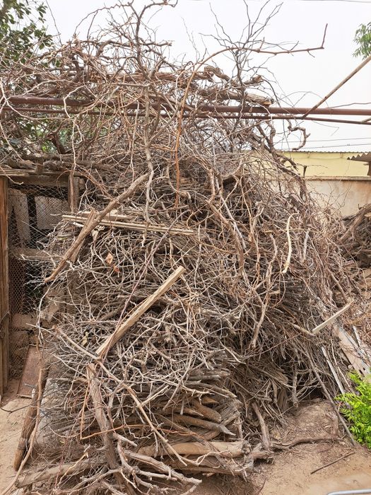 Srochno Aralash o'tin sotiladi