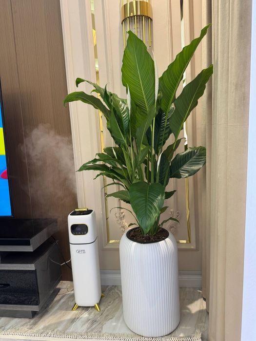 Подарочные цветы на любой праздник