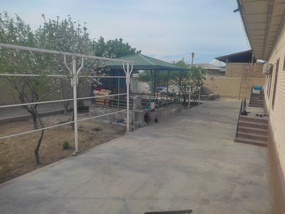 Самарканд-савхозда ховли