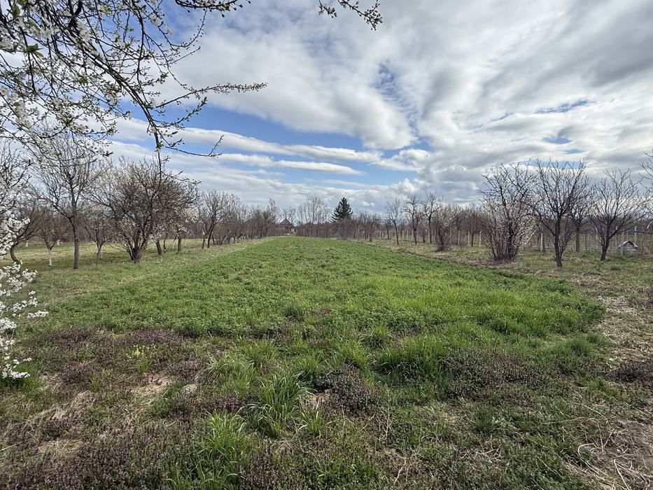 Ofer spre vanzare Casa 3 camere + Teren 47 Arii  in comuna Lipau