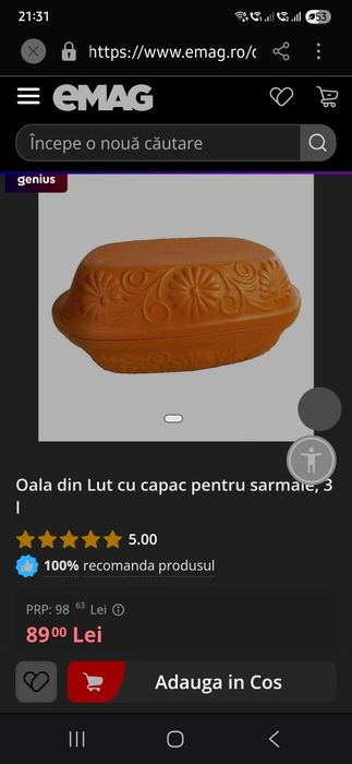 Vas roman din lut