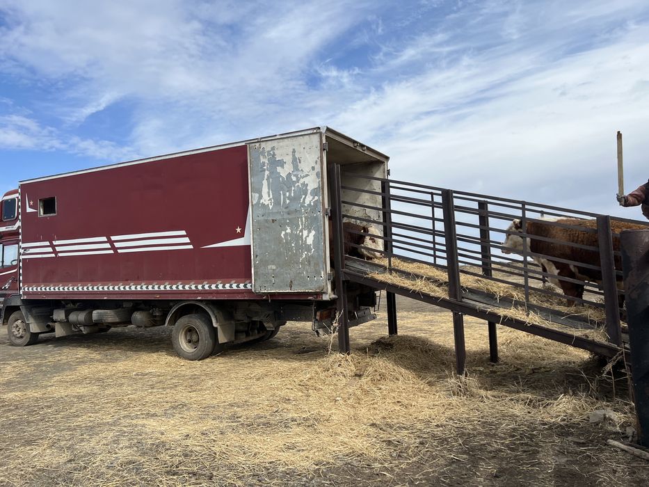 Продам Мерседес Коневоз