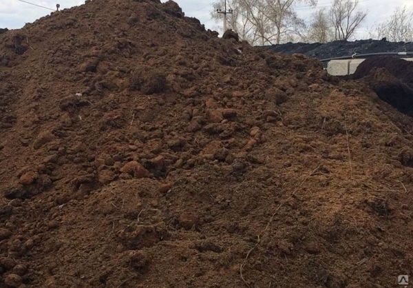 Трёхлетний навоз!