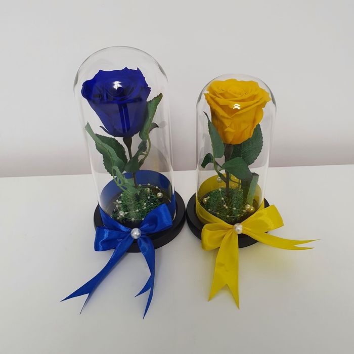 Trandafir criogenat conservat in cupola de sticla