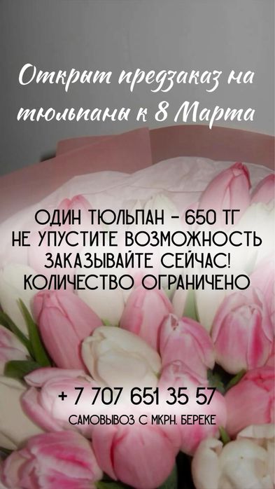 Тюльпаны предзаказ