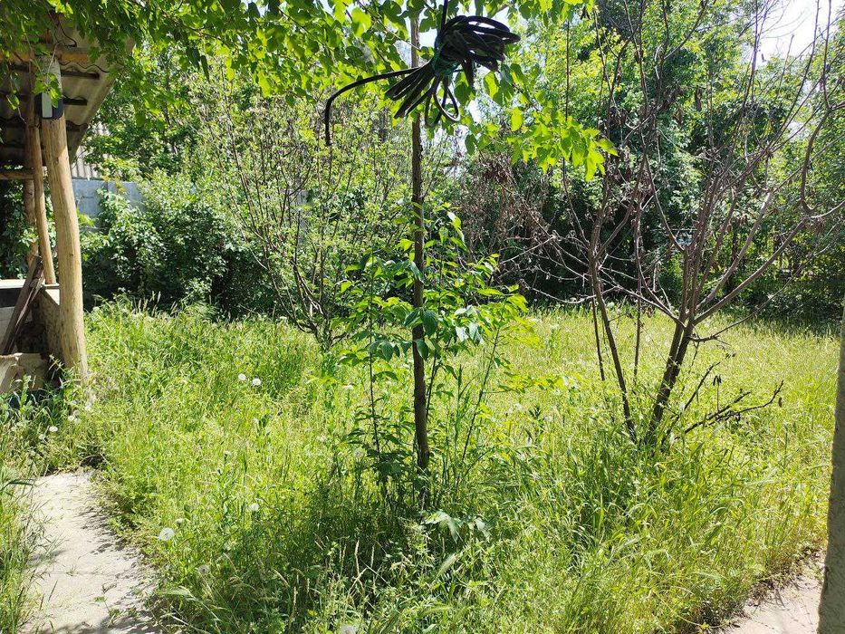 Дача.на таш море.