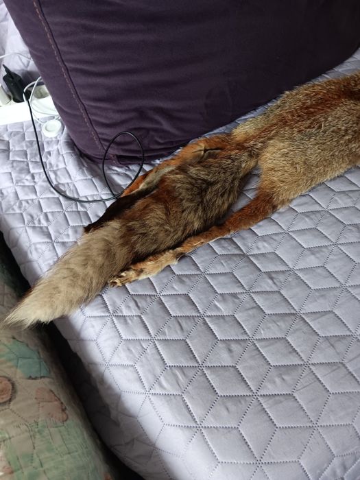 Яка от естествена лисица