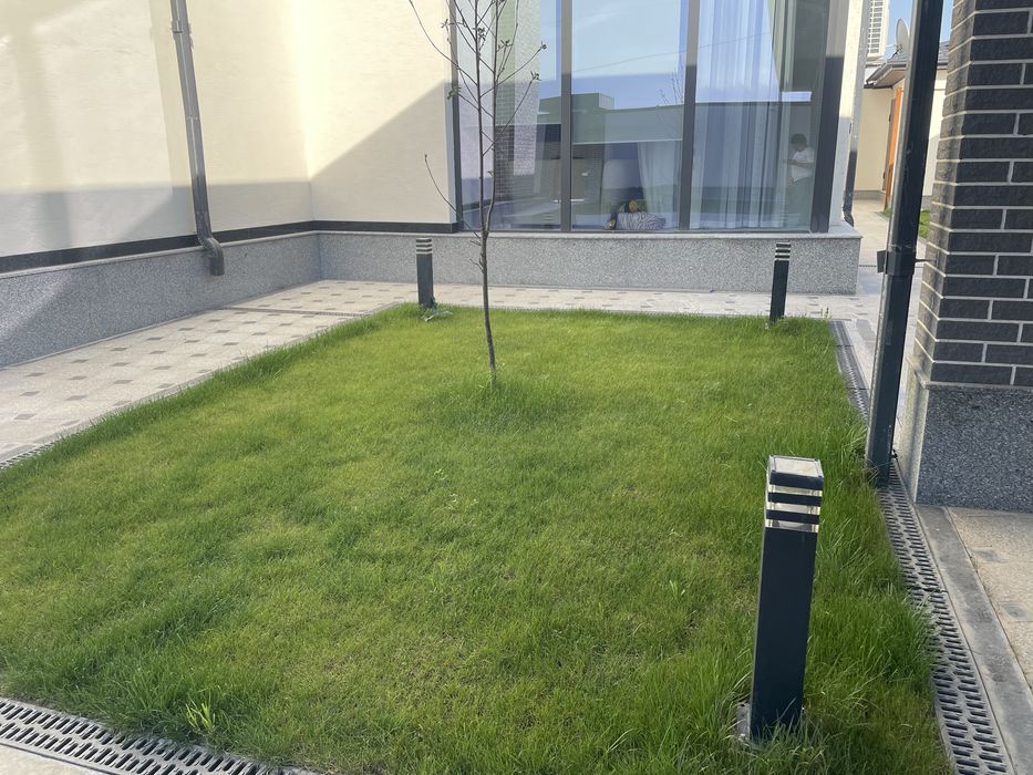 Газон,автополив,полив