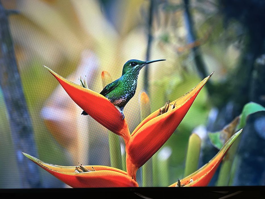 Smart TV LG UHD 4K AI  2025