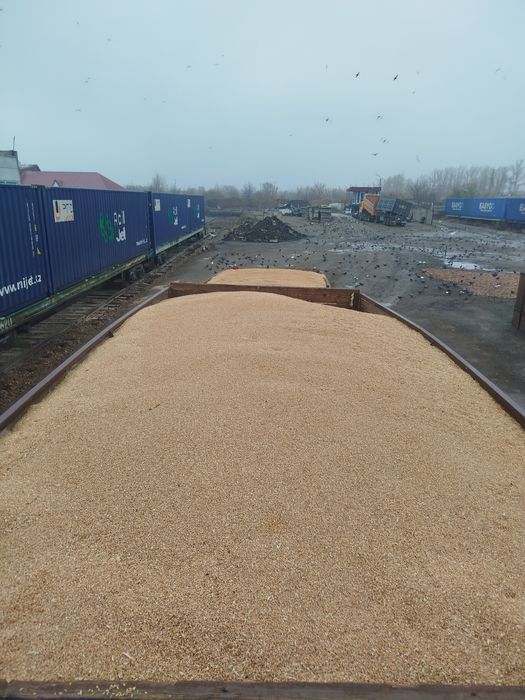 Камаз самосвал с прицепом