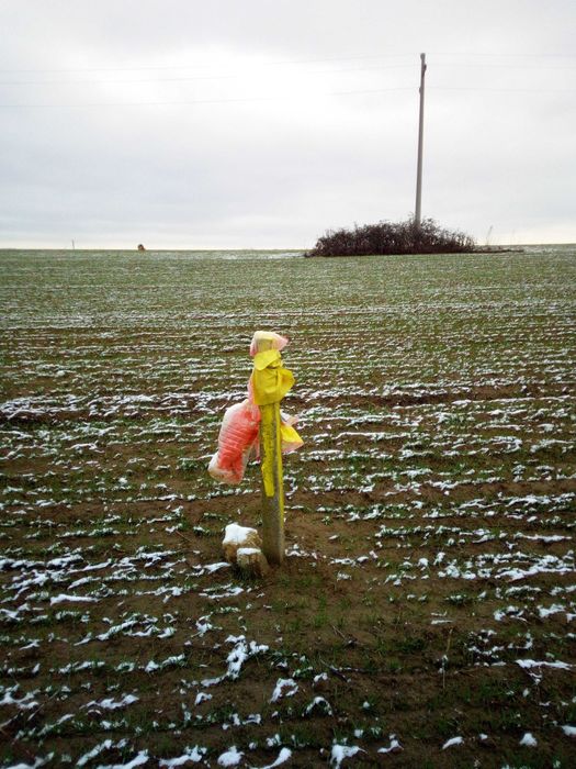 Продава се Земеделски имот в с. Близнаци, Област Варна -  кв.м за 8840 €/дка - Снимка #1