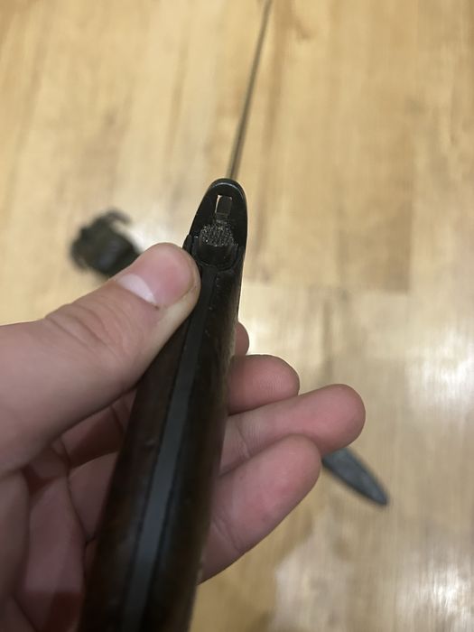 Щик Норвежки Рядък