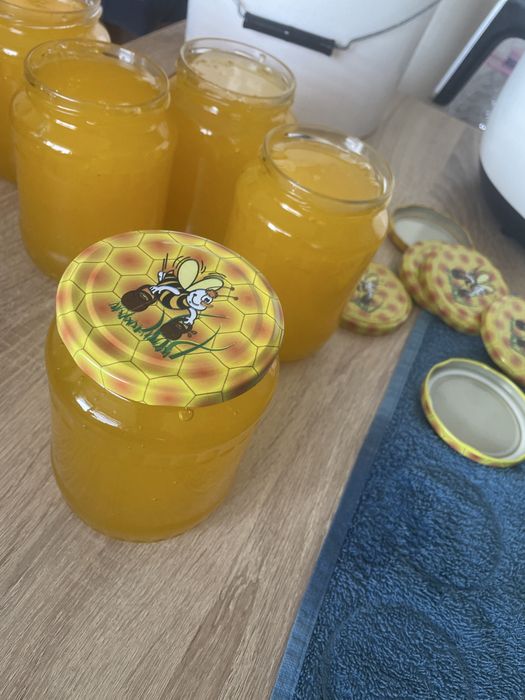 Vand miere de albina Floarea Soarelui