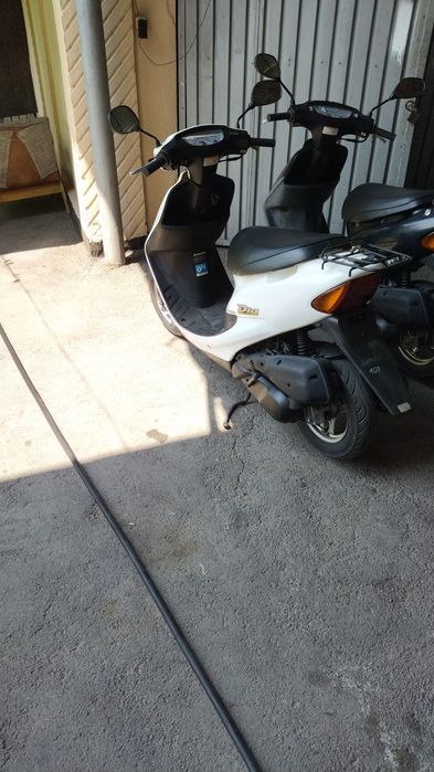 Honda dio свежие