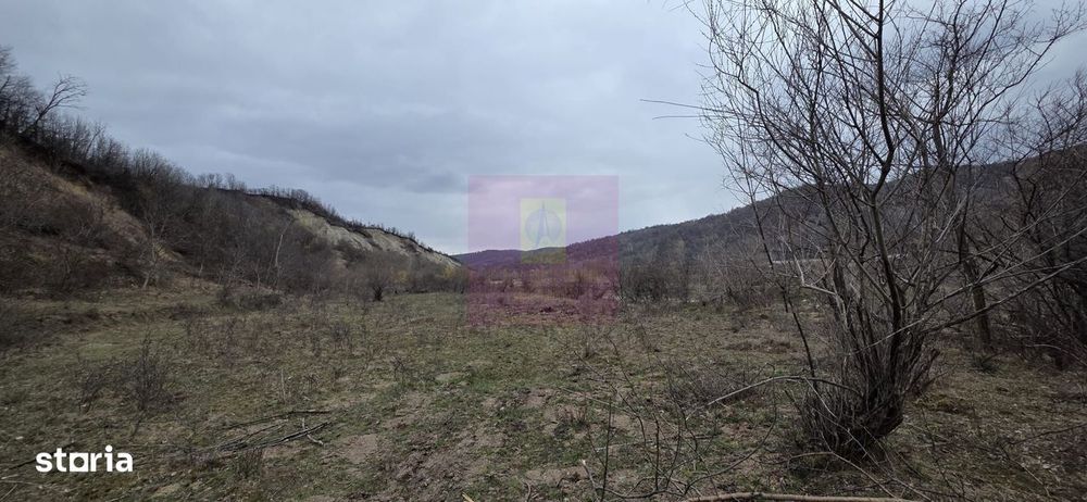 Teren de vanzare in Brebu - Raul Doftana