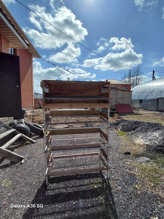 Клетки для перепелетов