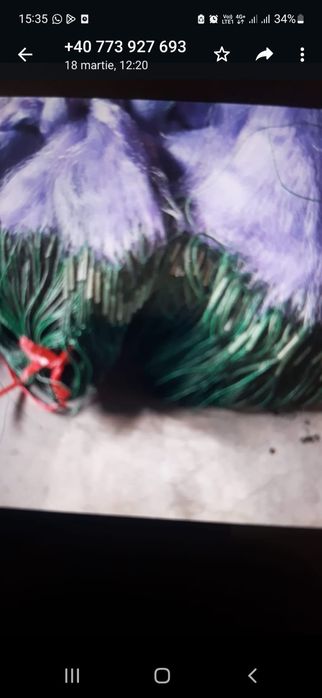 Plasele pescuit diferite modele