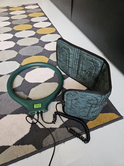 Lampa biotorus lt 100+lt 99 dureri articulatii