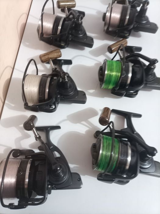 Mulinete Okuma t Rex
