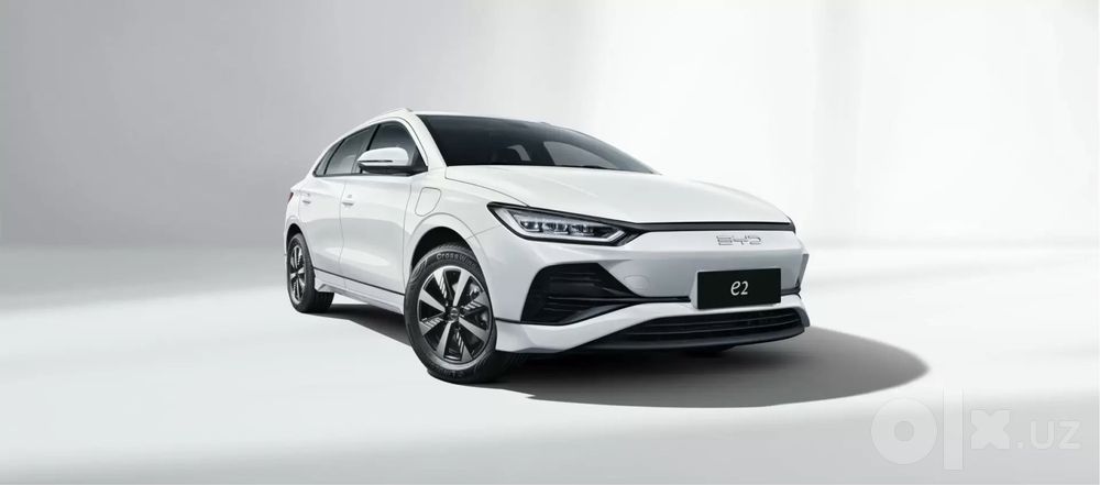 Персональный трансфер | BYD e2