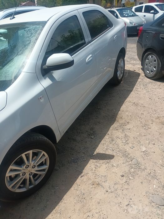 2026 yil  bez prabek Cobalt .MCM