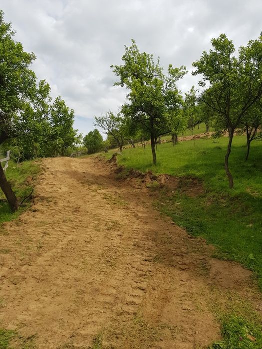 Teren intravilan